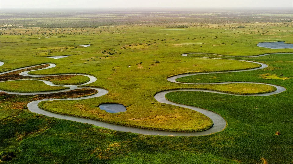Desert Rivers & Wildlife Adventure