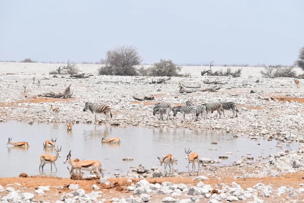 Namibia