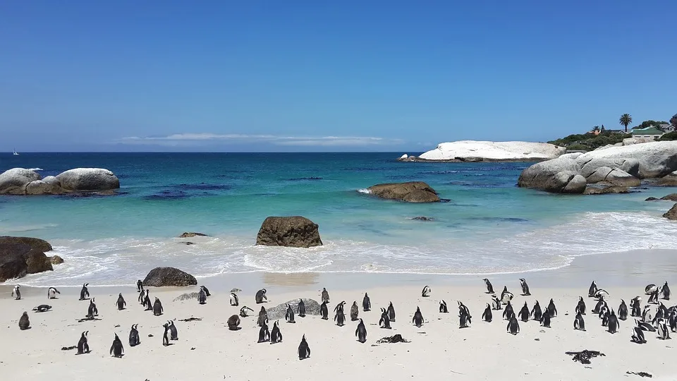 SudAfricaSudAfrica - La quinta essenza del SudAfrica - La quinta essenza del SudAfrica