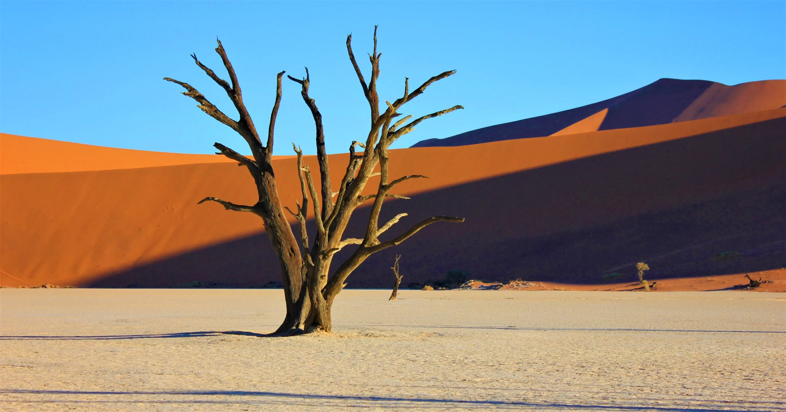 Meravigliosa Namibia