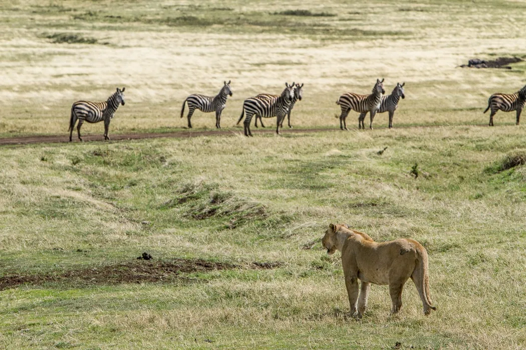 Tanzania - Dai pastori-guerrieri ai cacciatori-raccoglitori