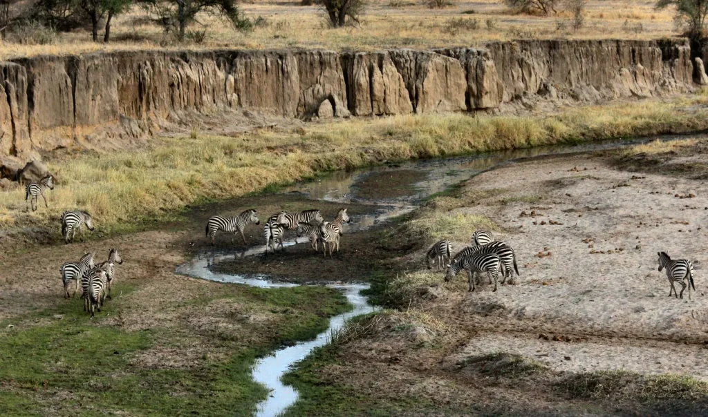 Tanzania Exploration