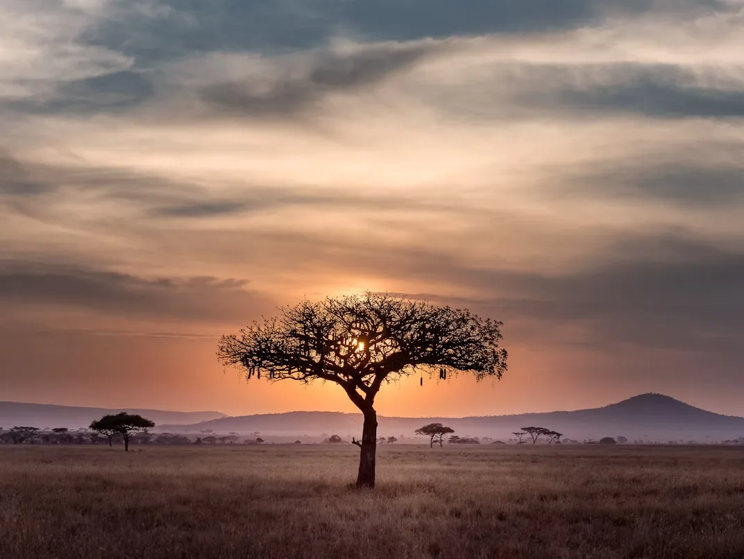 Tanzania - Serengeti Special