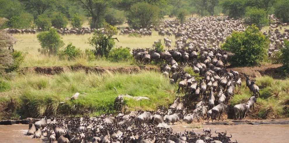 Tanzania - Serengeti Special