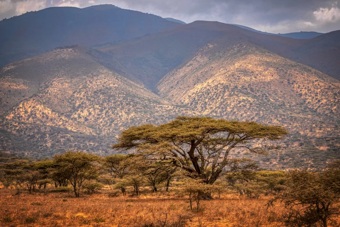 Tanzania - Serengeti Special