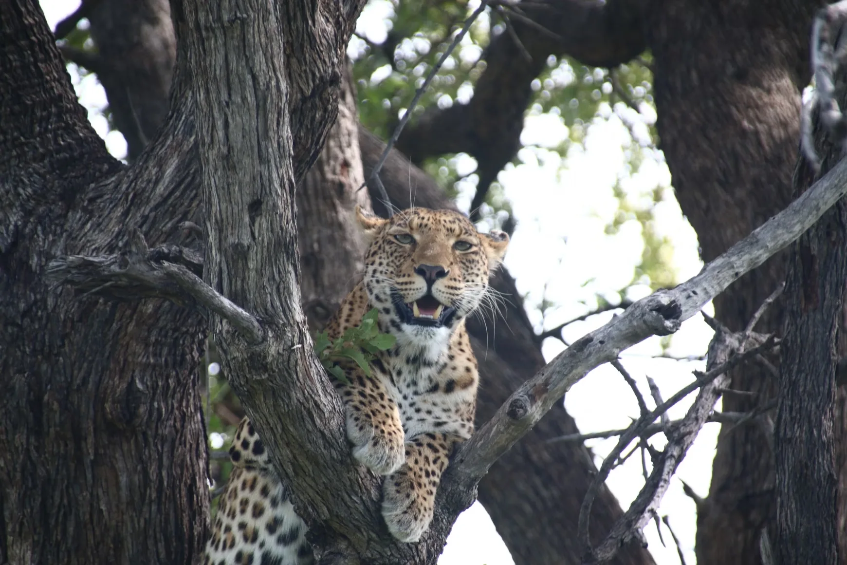 Kruger to Falls Adventure