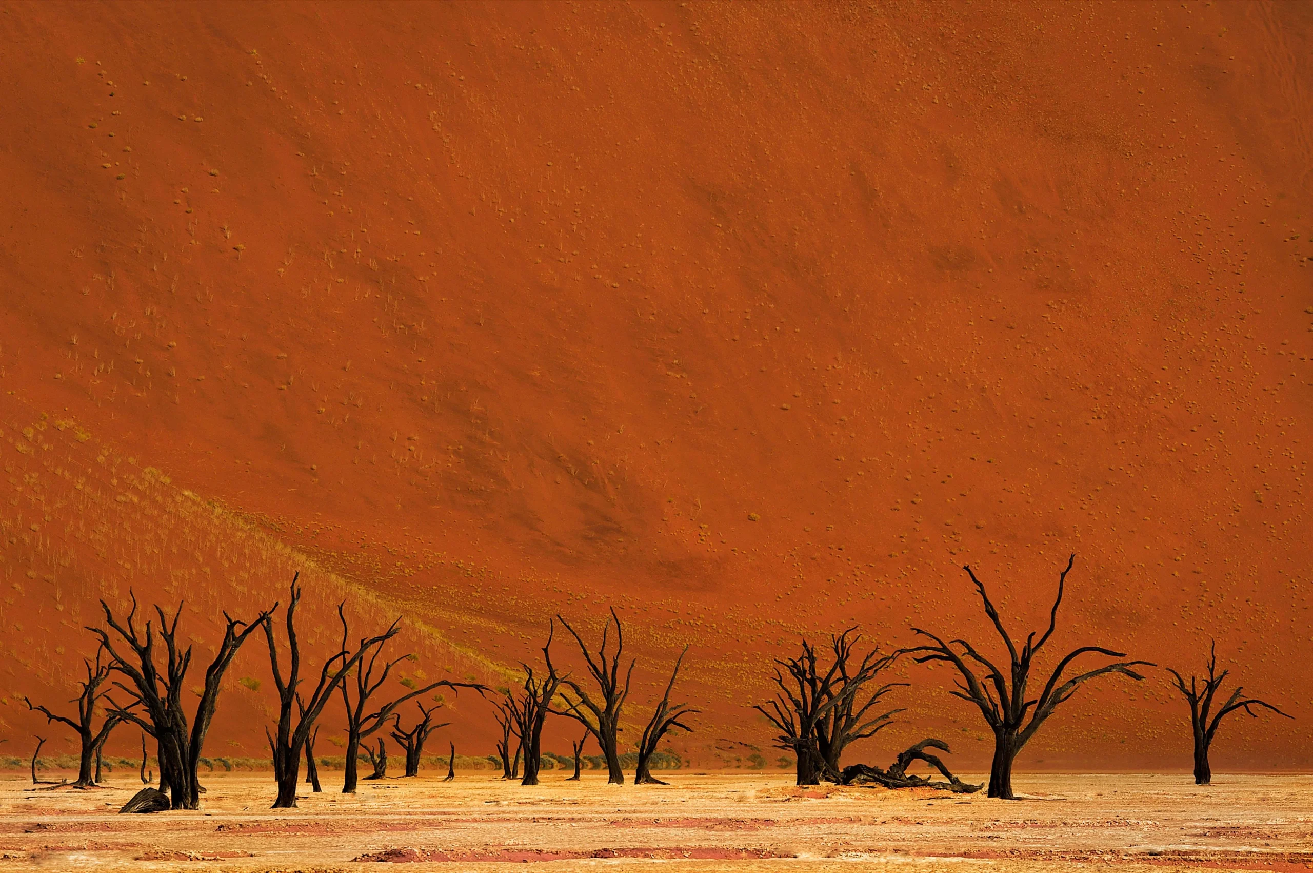 Namibia - Kwessi Dunes