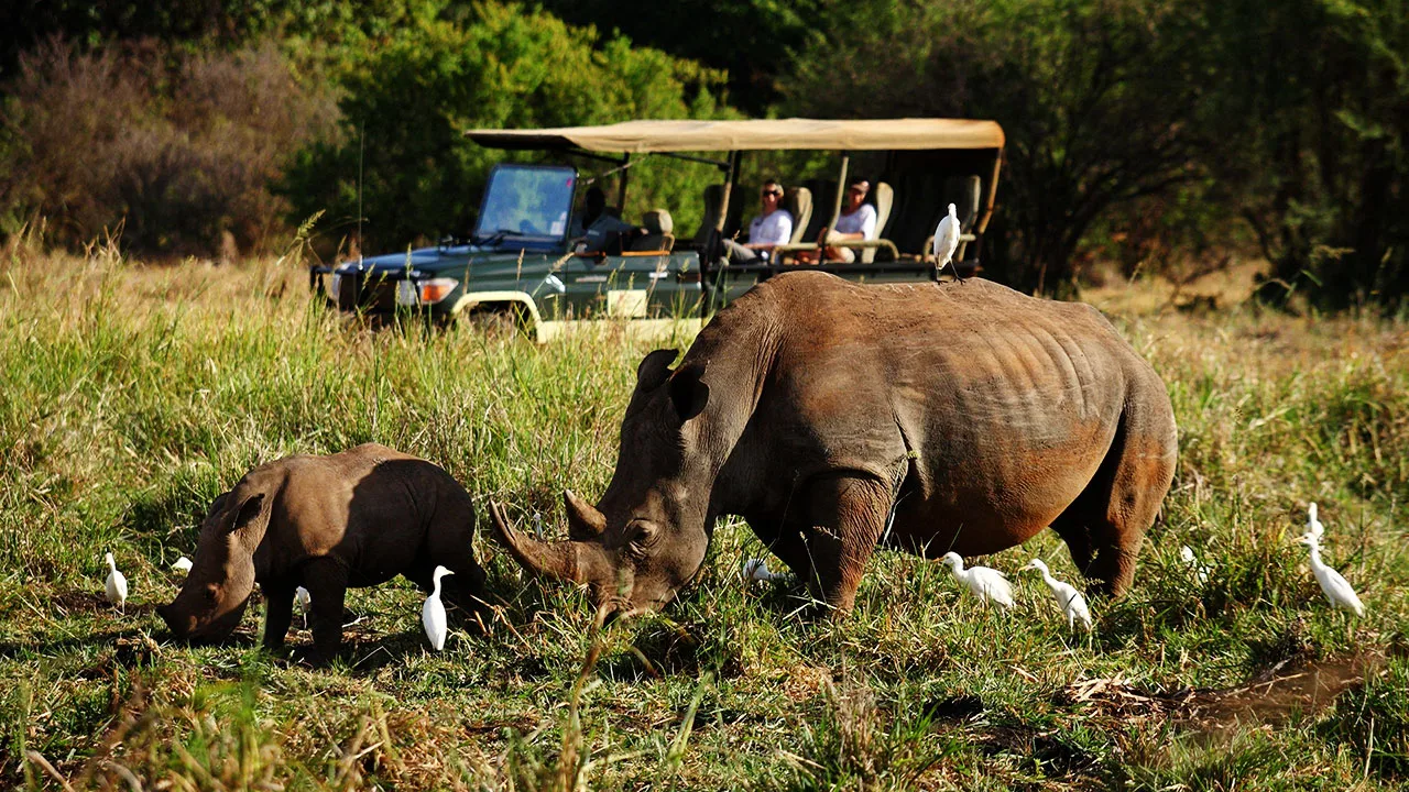 Kenya - Elsa's Kopje Meru