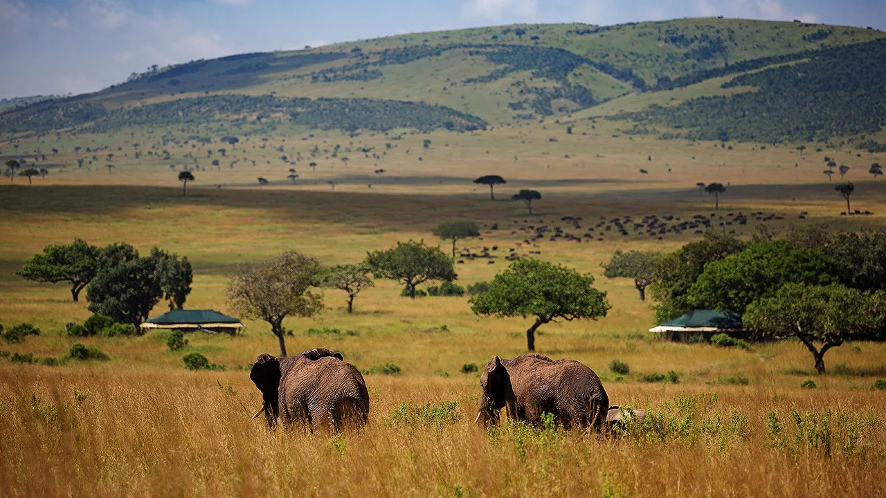 Kenya - Sand River