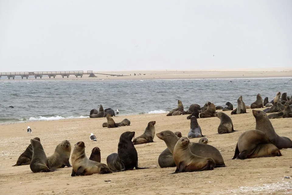 Desert Rivers & Wildlife Adventure