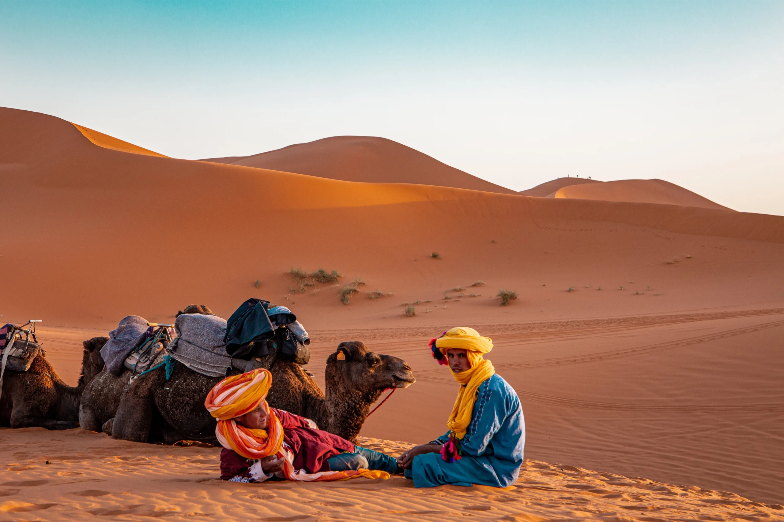 Marocco - Marrakech, montagne, oasi e deserto