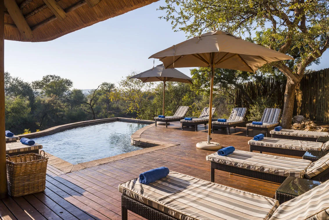 Sud Africa - Madikwe & Cape Town