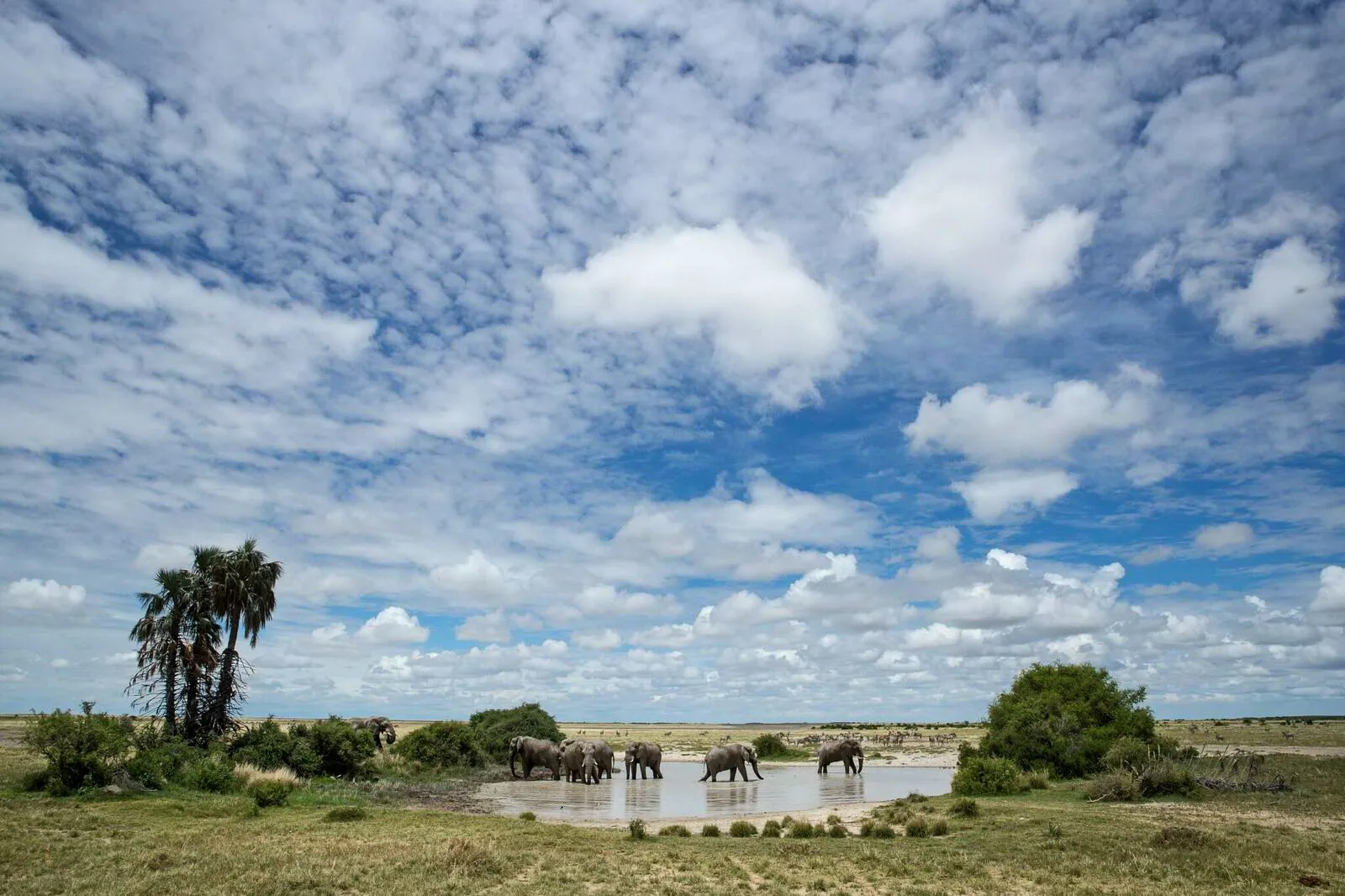 Botswana – Jack's Camp