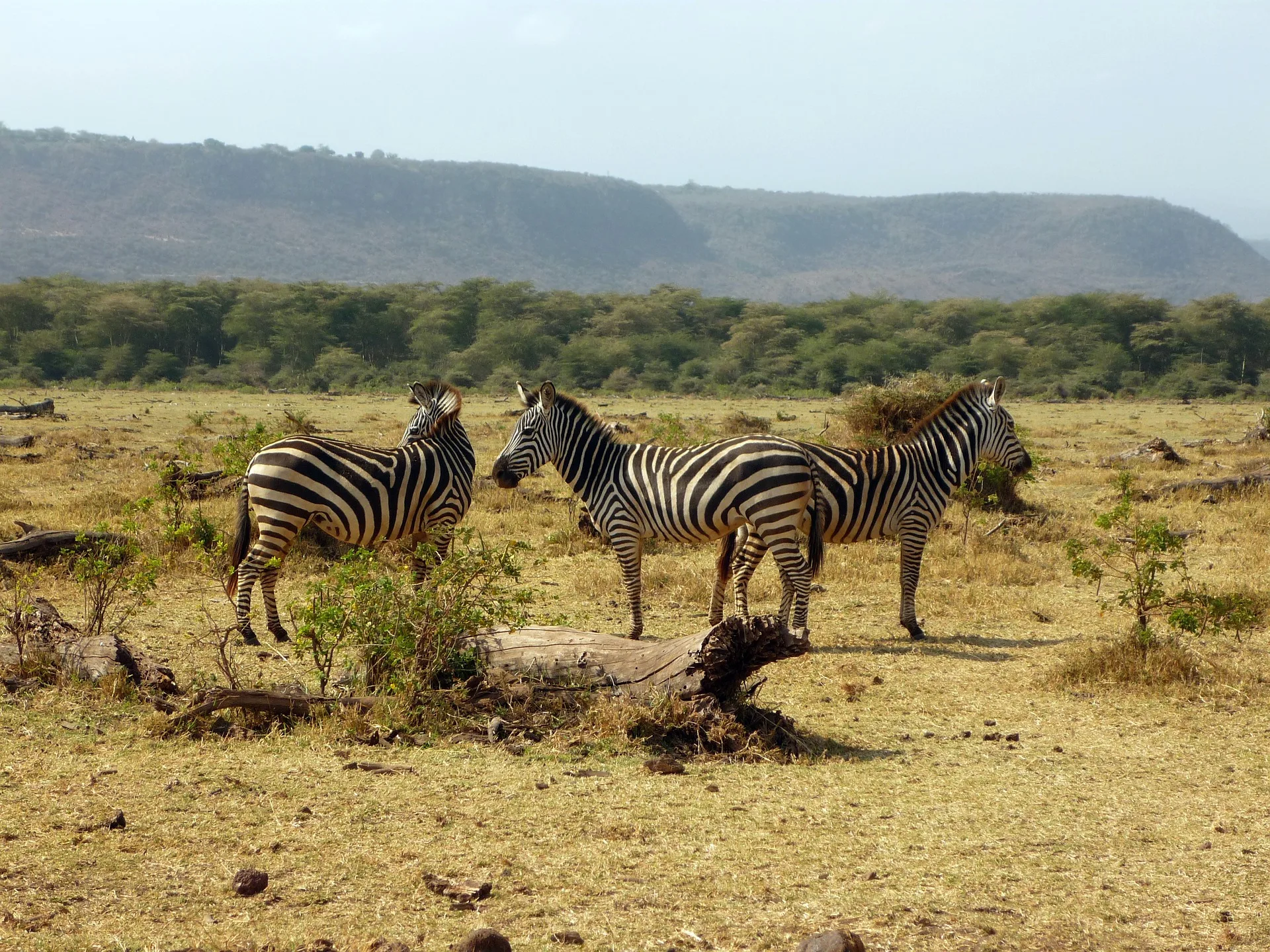 Tanzania - Trekking tra crateri