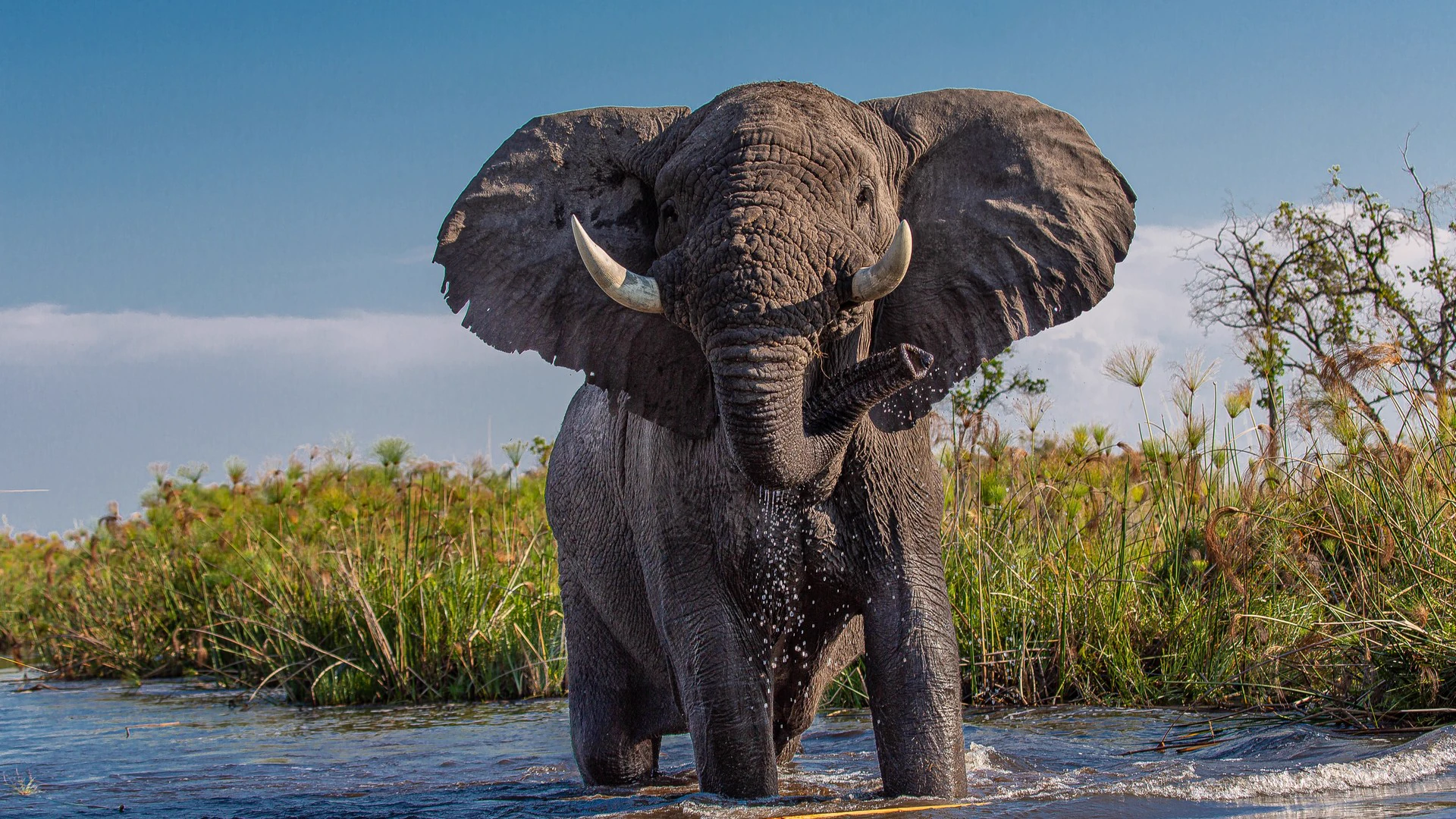 Botswana