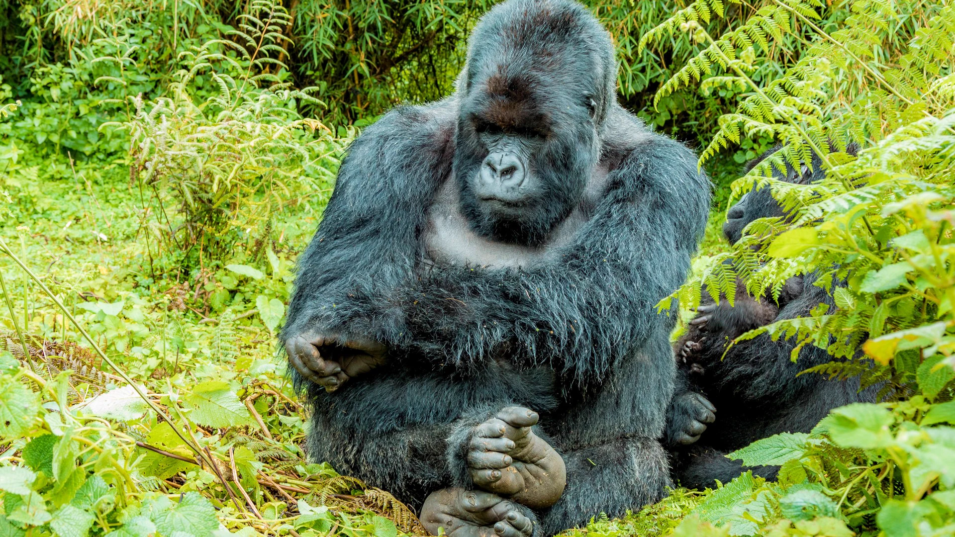 Rwanda